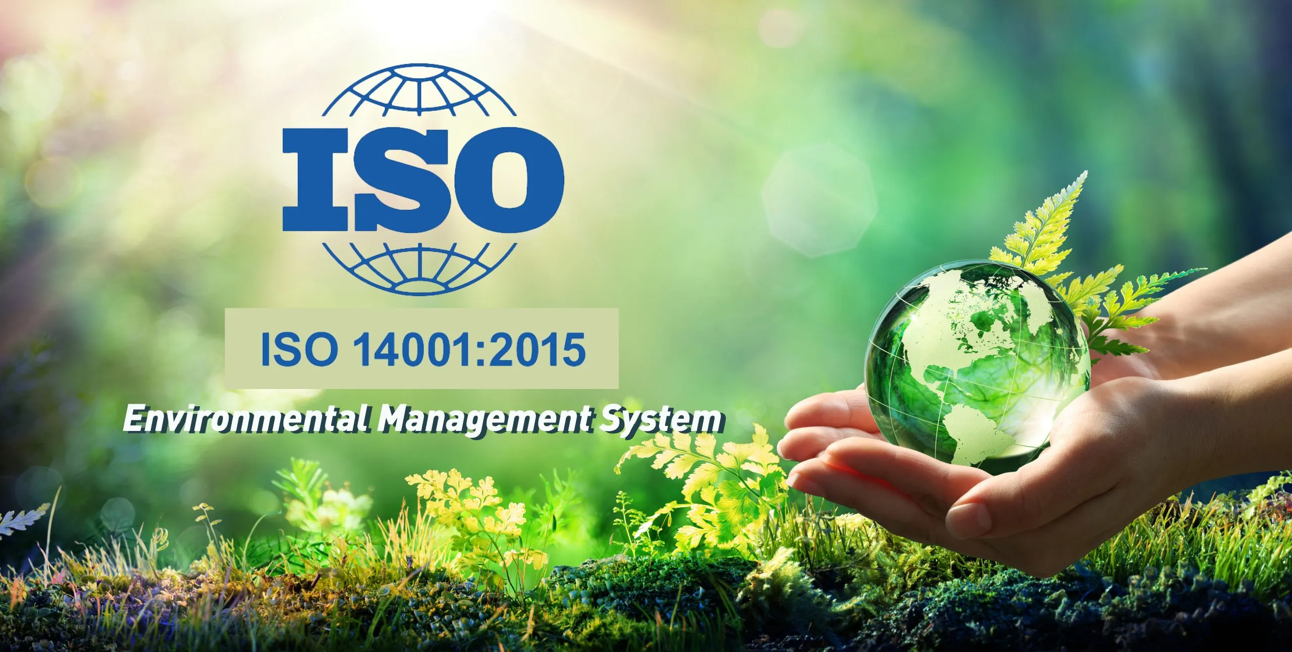 ISO 14001:2015 – Environmental Management Systems (EMS)